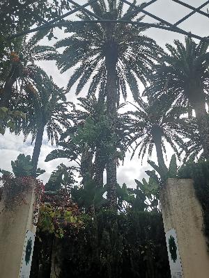 La justice dans les sociétés arabes – Rencontre avec IEDJA, à Rabat La justice dans les sociétés arabes – Rencontre avec IEDJA, à Rabat