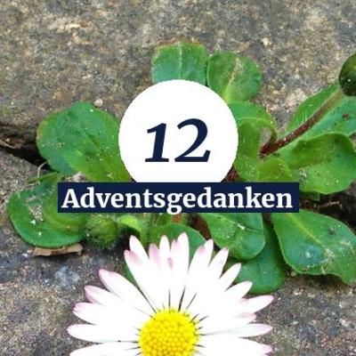 Tag 12 - Glück