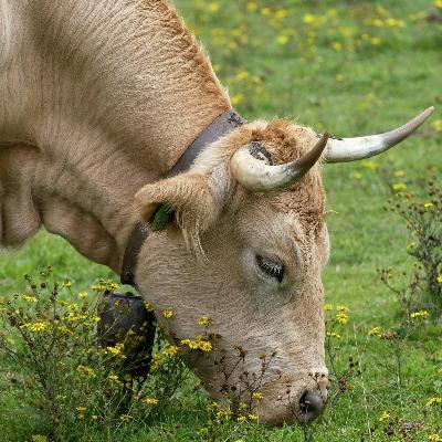 Party for Two with Bob Richardson | Ford Backs Carney's Auto Strategy | Martyn Burke’s New Novel | Telescopic Tuesday | Neighbour Dilemma