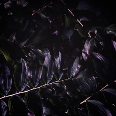 Observa lo que nos dice nuestra querida Glándula de TIROIDES y sana con AMOR CONSCIENTE