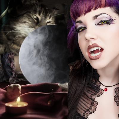 Comedy cat podcast. Life with Bucky. Cat fortune tellers Natasha Paxlovida and Kitty Crystal. Comedy cat podcast. Life with Bucky. Cat fortune tellers Natasha Paxlovida and Kitty Crystal.