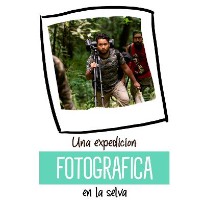 Una expedición fotográfica en la selva - Turipache WildLife Expeditions