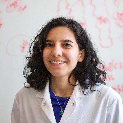 "Not Believing That I Cannot" - Parisa Hosseinzadeh