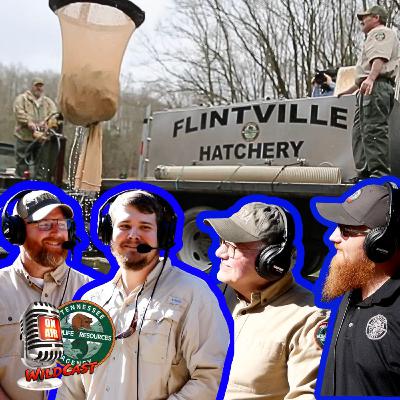 #457 Winter Trout Splash: New Spots, Big Fish, 75,000 Rainbows Incoming #457 Winter Trout Splash: New Spots, Big Fish, 75,000 Rainbows Incoming