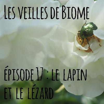 Les veilles de Biome - épisode 17 : le lapin et le lézard