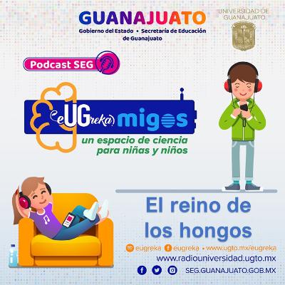 PROG EUGREKA #9 "El reino de los hongos"