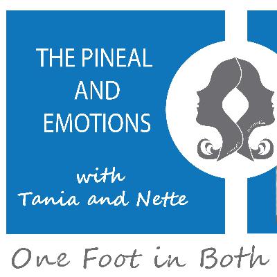 THE PINEAL AND EMOTIONS - THE NEW PIECE