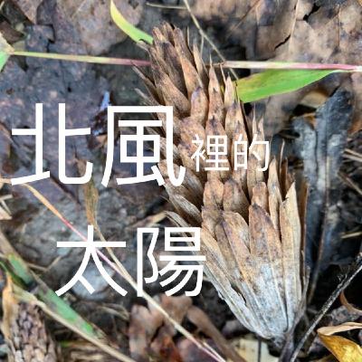 EP511【北風裡的太陽】不知道就看不到