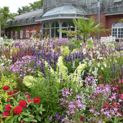 Was Sie jetzt für einen schönen Garten tun sollten