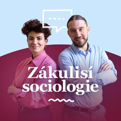 Když mi dáš pac: Zlatá éra a úpadek předvolebních songů s Janem Tvrdoněm