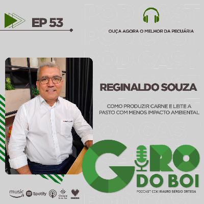 Como produzir carne e leite a pasto com menos impacto ambiental