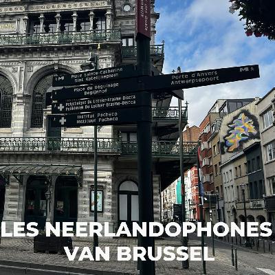 Episode 4 : La culture et un soupçon de politique