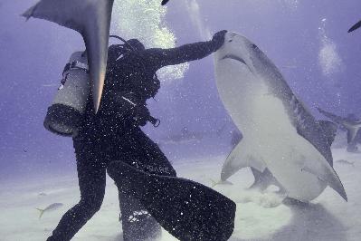 Xtreme Lyfe 85 Shark Diving with David Martinez
