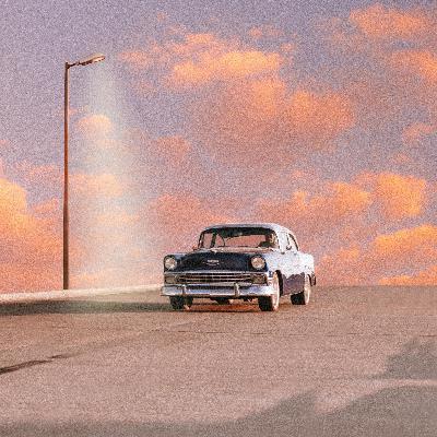 #1 - Deja al perro SER