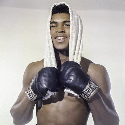 Mohamad ali Mohamad ali