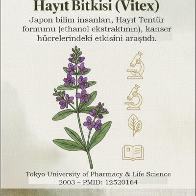 Hayıt Tentürü ve Kanser Hücrelerine Etkileri | PubMed Makalesinden Derlendi