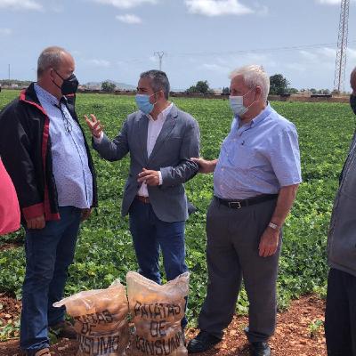 El PP regional no aceptará un Plan Estratégico de la PAC que "perjudique a los agricultores y ganaderos de la Región"