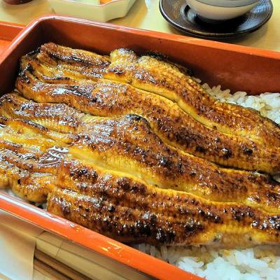 11月24日 8時の最新ニュース