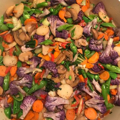 Perspectives on veganism