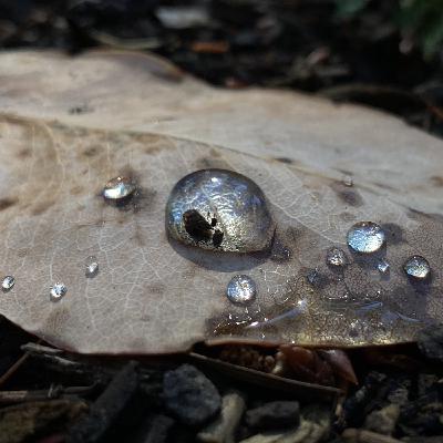 Chimney Sweep Days (Almost a Christmas Special)