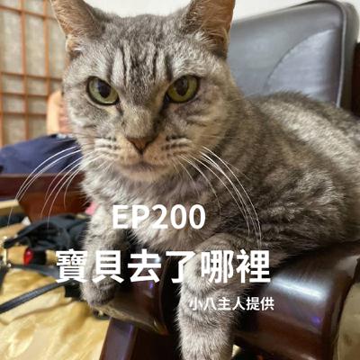 EP120雪納瑞投胎為狼！主人無信仰、虎斑貓卻到耶穌愛的光裡！只因....