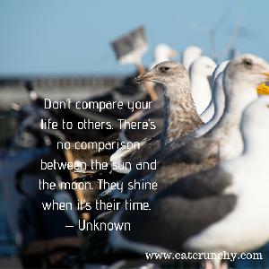 #29 – Comparing Yourself to Others Steals Your Joy! (Podcast)