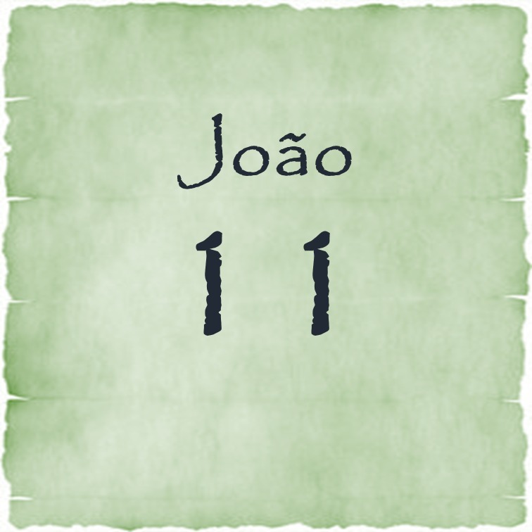 João 11 episode artwork