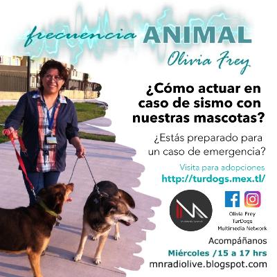 FRECUENCIA ANIMAL 11 CON OLIVIA FREY, PLAN DE ACCIÓN EN CASO DE SISMO, CON NUESTRAS MASCOTAS.