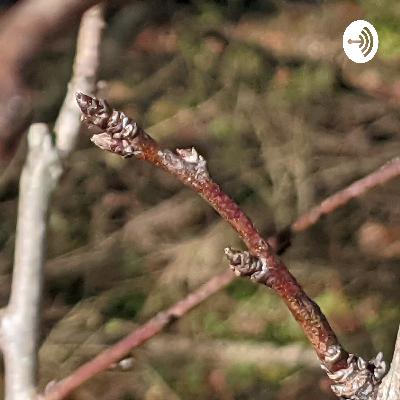 Crypto Market Report 5/28/2021