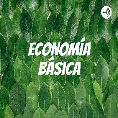 ¿Cómo funciona la economía?