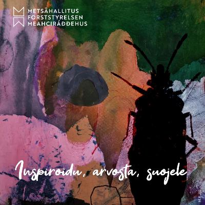 Minkälainen sun suhde on luontoon?