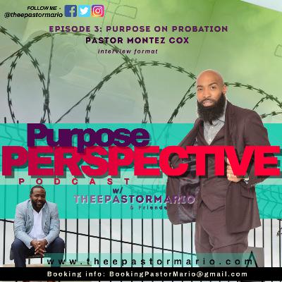 PURPOSE ON PROBATION