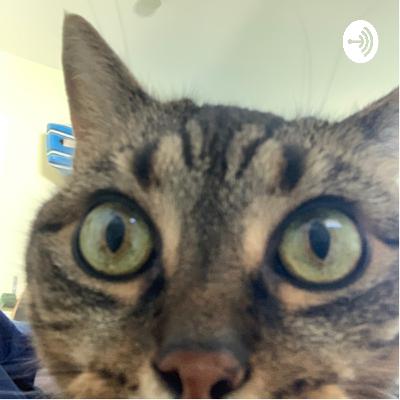 The Future of the GOP, Student Debt, and Vaccine Distribution Globally The Future of the GOP, Student Debt, and Vaccine Distribution Globally