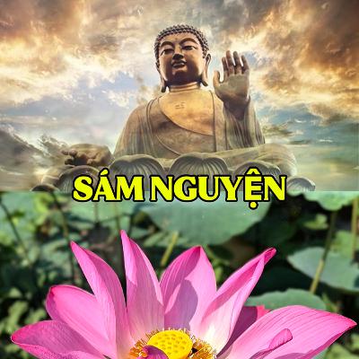 SÁM NGUYỆN - Đường Về Tỉnh Thức #10