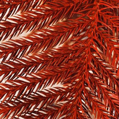 Tum khaas ho.! Tum khaas ho.!