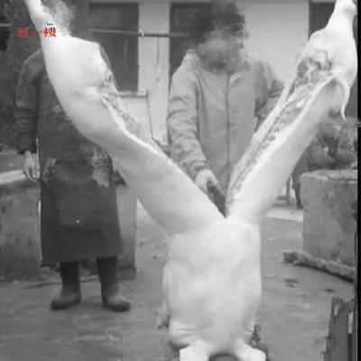 Res17.“我要替猪报仇”-王洪波连环变态杀人案R哦、