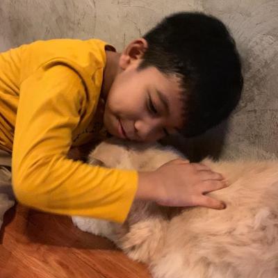 Tolong Perlakukan Aku Seperti Kucing!!