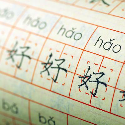 The global surge in Chinese language learning The global surge in Chinese language learning