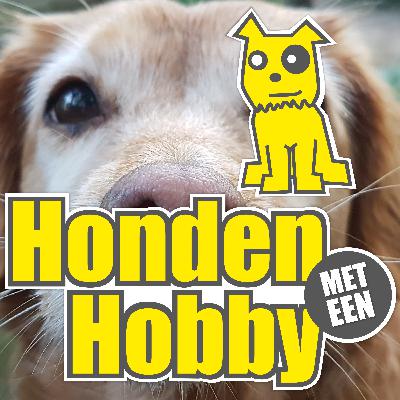 #2: Ik wil een hond! – Ben je er klaar voor?