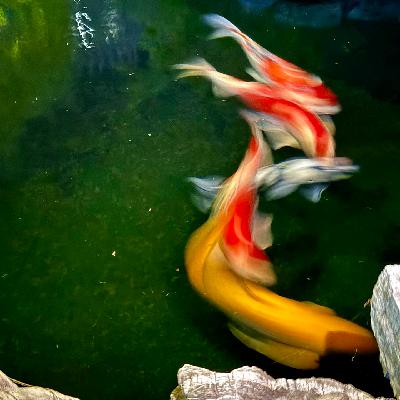 #45 死亡不是一件大事，活着才是