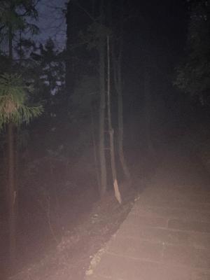 The Darkness of Zhangjiajie