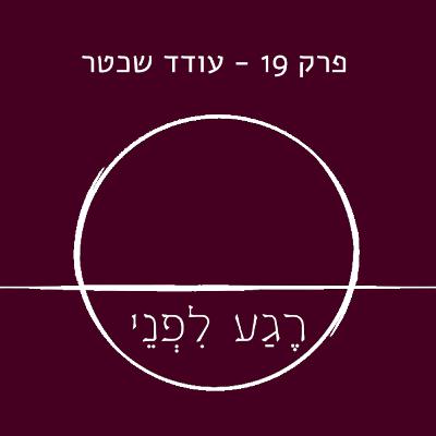 פרק 19 - עודד שכטר