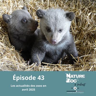 Épisode 43 (ACTU) - Les actualités en avril 2025