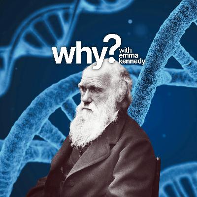 Will we ever really understand evolution?