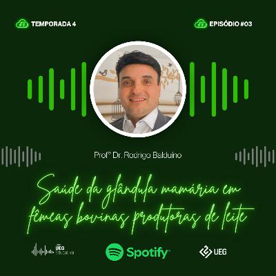 T4 Ep4 | Papo de rúmen | Saúde da glândula mamária em fêmeas bovinas produtoras de leite |