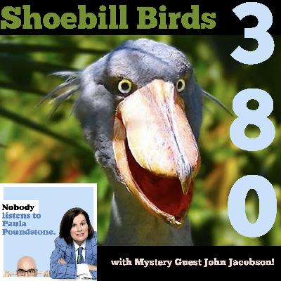 EP. 380: Shoebill Birds with Mystery Guest John Jacobson! EP. 380: Shoebill Birds with Mystery Guest John Jacobson!