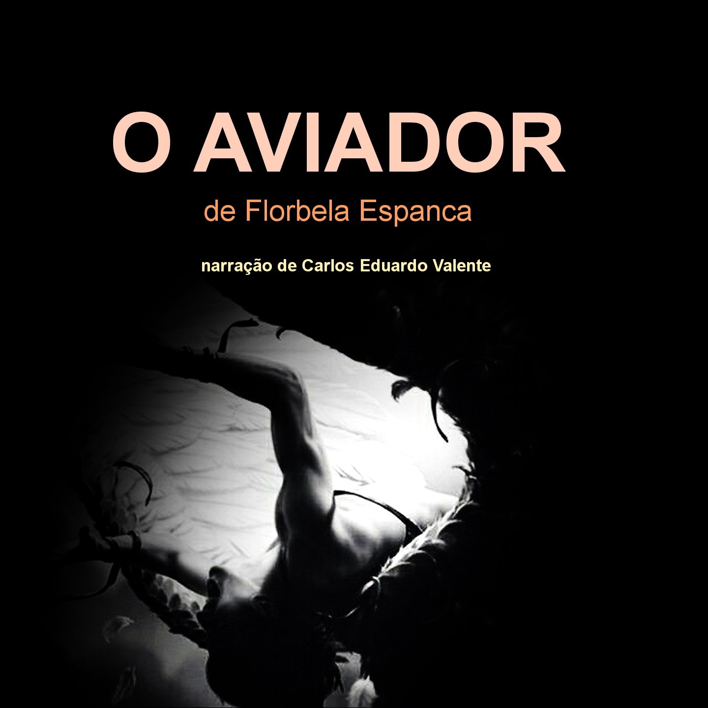 AUDIOBOOKS Livros Contos Poemas
