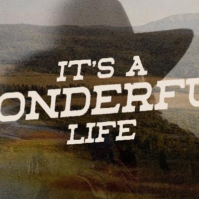 It's a Wonderful Life