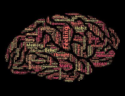 064 Bilgi Felsefesi: Giriş, Bilgi, Anlam, Doğruluk