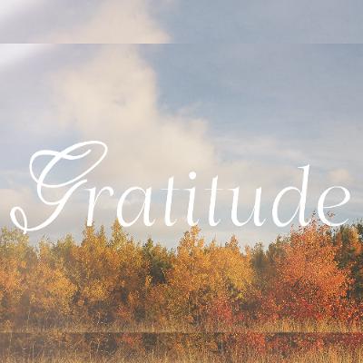 Gratitude | Part IV Gratitude | Part IV